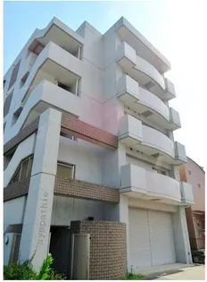 サンパティーの画像