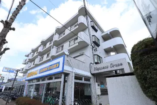 ハイネスグリューネの画像