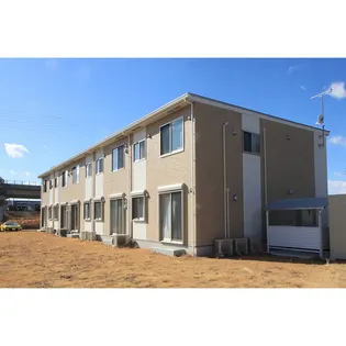 ブルーベリーの画像