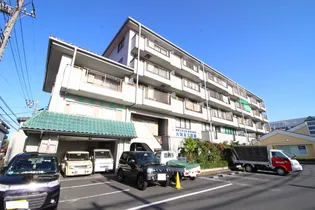 大和瓦マンションの画像