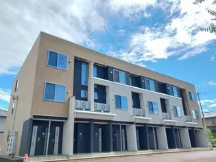 ピノ ベレーザの画像