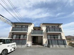 グレース ホリの画像