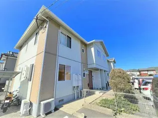 ディアス花の画像