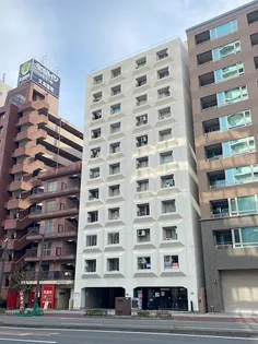 片平ホワイトレジデンス【8階】の外観