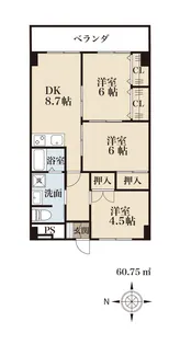 アルテルース【7階】の間取り