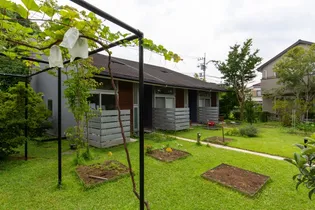 テラス ウーヴァスの画像