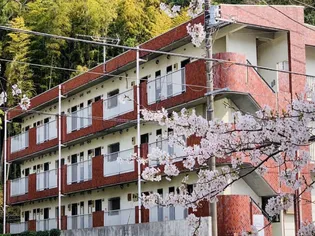 リバーサイドヒグチの画像