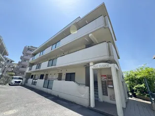 ピュアフルールの画像