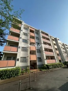 神奈川県厚木市妻田北1【マンション】の外観