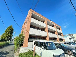 PLAISIR STM プレジールSTMの画像