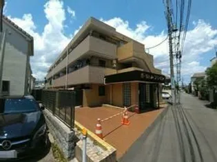 リトルブラウンの画像