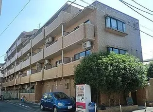 神奈川県川崎市中原区井田三舞町【マンション】の外観