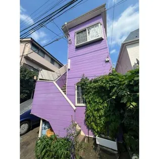 シャムロックの画像