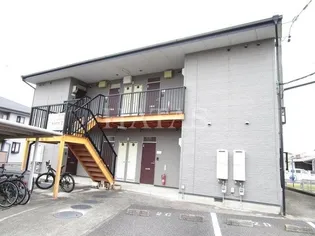 ブライトカメリアの画像