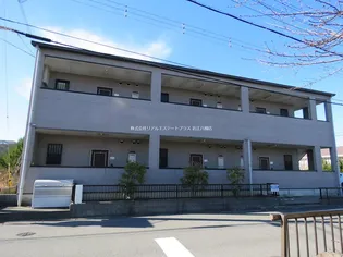 グランド シェルの画像