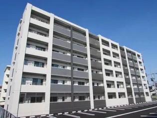 ELEVITA弥永の画像