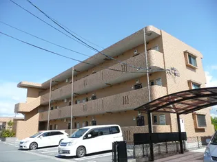 マエストロ明和の画像