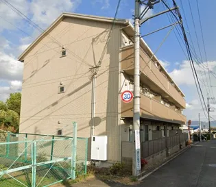 プラナスの画像