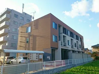 フリージアの画像