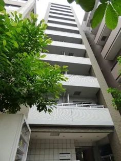 ベルグレードUKの画像