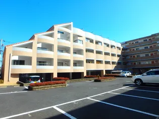 ブリランテの画像