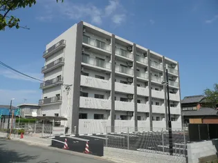 マエストロ御薗の画像