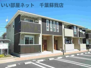 カモミールの画像