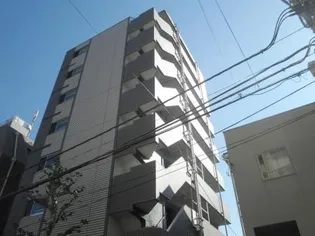 アルテシモフランの画像