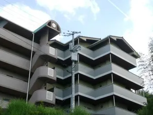 タートルハイツ【3階】の外観