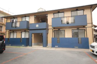 プルーリオン花水木Aの画像