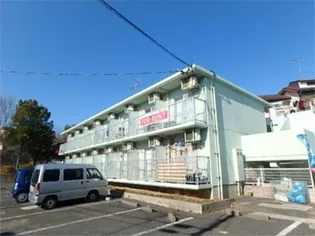 ルミニコスモスの画像