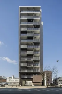 サヴォイラルカンジュの画像