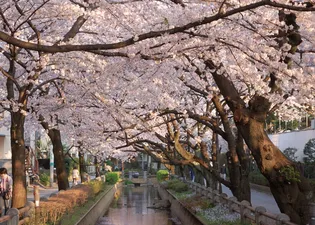 ハーミットクラブハウス八雲【1階】の周辺