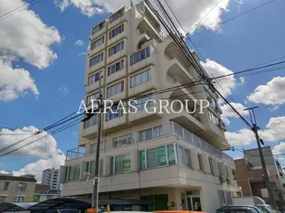 ヴィレッタ菊の画像