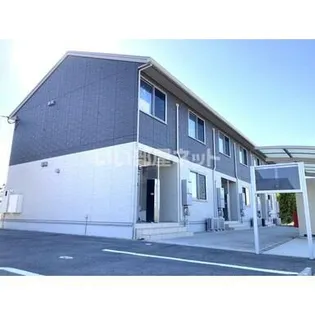 テ ゾーロ結の画像