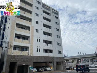 ゴールデンリバーの画像