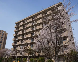 ライフタウン東新潟の画像