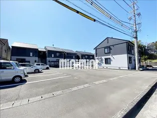 パインツリー1の画像