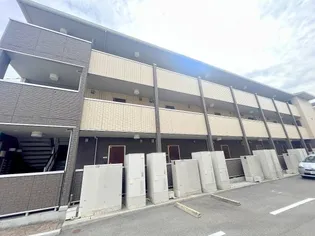 サンシストの画像