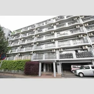 アルシヨン悠々の画像