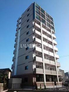 アンジュラピスの画像