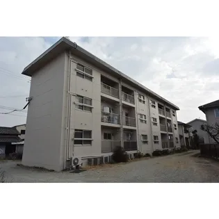 サン フィールドの画像