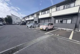 エンコウジAの画像