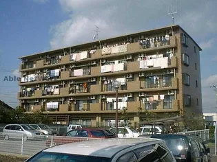 フェリースアイチの画像