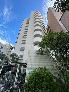 レピドール福田IIの画像