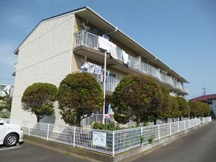 新珠マンションの画像