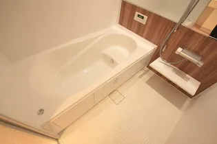 サリオス段原日出【1階】の風呂