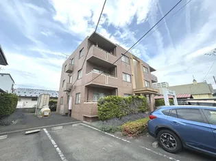 グリーンクレイドルの画像