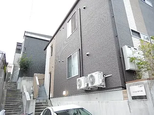 BEAR DE VALLEYの画像