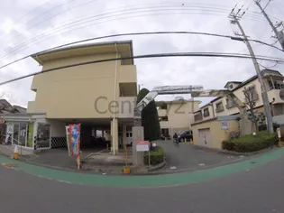 センチュリーショウエイ3の画像